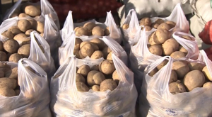 Цены на овощи за месяц в Казахстане снизились на 6%