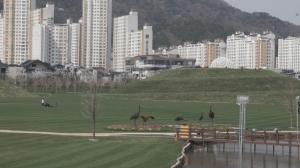 Оңтүстік Кореяда экологиялық таза қала дамып жатыр