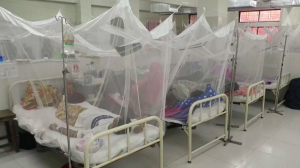 ВОЗ: лихорадка денге представляет собой «пандемическую угрозу»