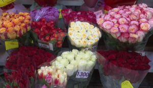 Цветы в Казахстане подорожали на 8% за год