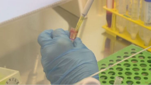 ДНК-тесты: казахстанские учёные определяют предрасположенность к заболеваниям