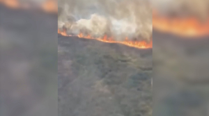 Площадь пожара в Атырауской области сократилась до 40 гектаров
