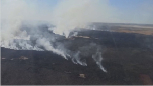 Вторые сутки тушат возгорание камыша в Атырауской области