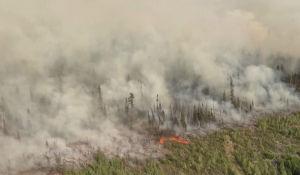 10 млн гектаров леса сгорело в Канаде