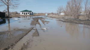 Как будут возмещать ущерб от паводков в Павлодарской области