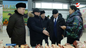 Сенаторы в регионах: какие вопросы больше всего волнуют казахстанцев