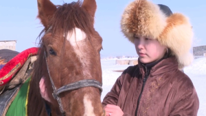 13-летняя жезказганка лихо управляет лошадьми
