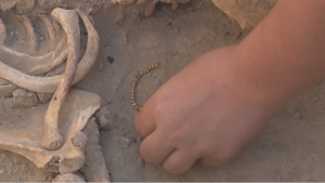 Древние золотые серьги найдены в Туркестанской области