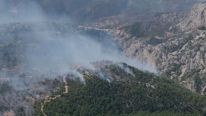 Выявлены попытки поджога вблизи Афин