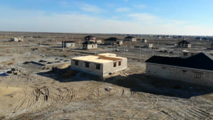 600 га земли выделят для ИЖС в Кызылординской области