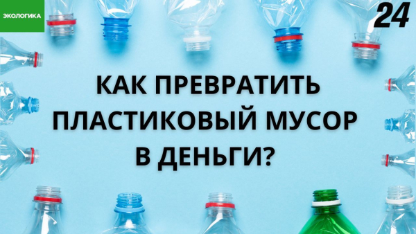 Экоактивист Шасалим Шагалимов производит синтепон из пластиковых бутылок | Экологика