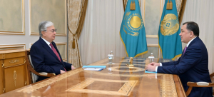 Президент принял акима Мангистауской области Нурлана Ногаева