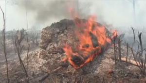 На востоке Кубы продолжают бороться с лесными пожарами