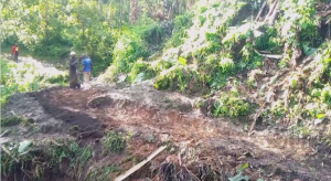Больше 20-ти человек погибли в результате схода оползня в Конго