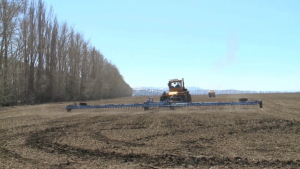 Поливное земледелие возрождают в Кокпектинском районе