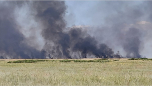 Возгорание камыша в Коргалжынском заповеднике локализовали