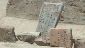 Шымкентте археологиялық көрме ашылды