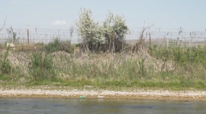 Кыргызстан теряет пастбища возле реки Чу