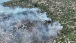 Мощный лесной пожар тушат на западе Албании