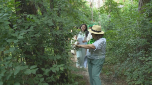 «Зелёный рейнджер»: волонтёры лечат деревья в Ботаническом саду Алматы
