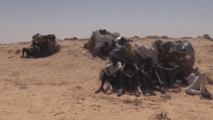 Группу беженцев спасли в пустыне недалеко от Туниса