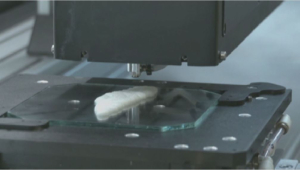 Учёные напечатали на 3D-принтере рыбное филе в Израиле