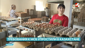 Требования к МСБ упростили в Казахстане | Акценты