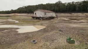Бассейн реки Амазонки страдает от засухи