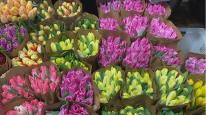 Цветы к 8 марта обошлись на 20% дороже для россиян