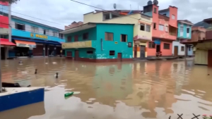 Боливия пережила сильнейшие за последние 50 лет дожди