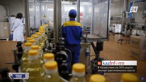 На 30% вырос экспорт растительного масла в Казахстане | Между строк