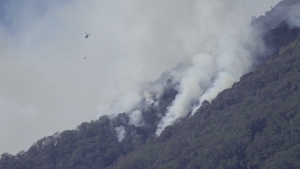15 лесных пожаров охватили Гватемалу