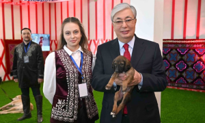 Президенту подарили собаку по имени Наурыз