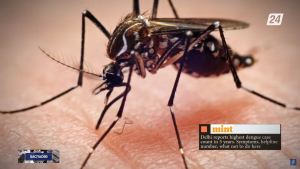 Үндістан астанасында денге безгегін жұқтырғандар саны күрт артты | Баспасөз