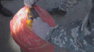 34 кг наркотиков изъяли у жителя села Кордай