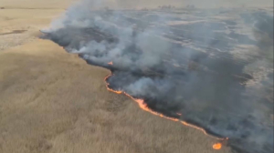 Пожар не могут потушить почти неделю в Атырауской области