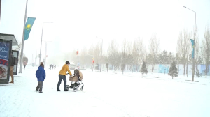 Снегопад в Астане: почти половина месячной нормы осадков выпала за сутки