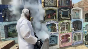Смертность от лихорадки денге выросла в Перу
