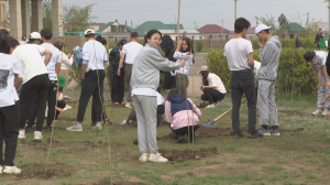 Казахстанские школьники приняли участие в республиканском челлендже «Жасыл мекен»