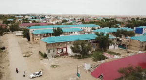 Два казахстанских села могут стать городами