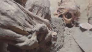 Археологи раскопали мумию в Перу