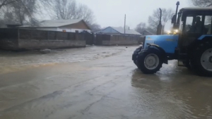 Дворы подтопило талыми водами в Жетысуской области