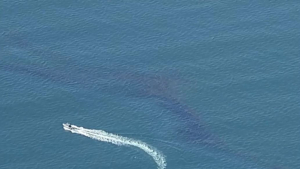 Большое нефтяное пятно появилось у берегов Калифорнии