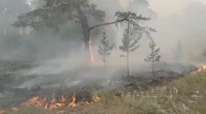 Трое работников лесничества погибли из-за пожара в области Абай
