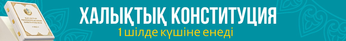 Конституция