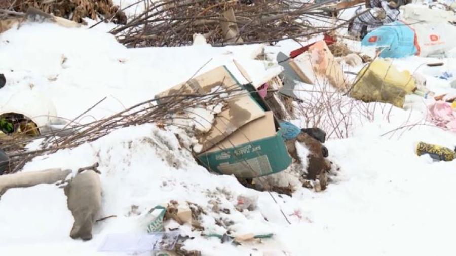 72 стихийные свалки ликвидировали в области Ұлытау