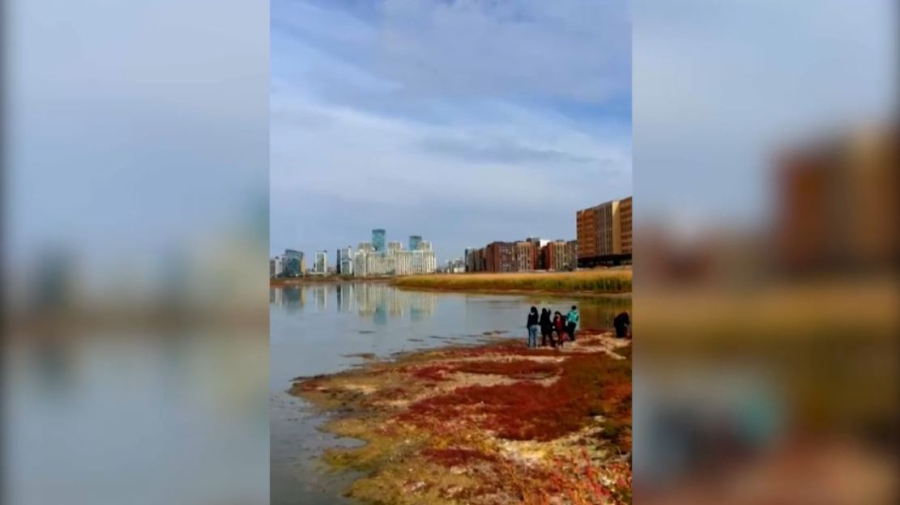 Биологическую очистку озера Малый Талдыколь провели в Астане