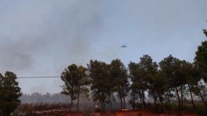 Албания пытается справиться с крупными лесными пожарами
