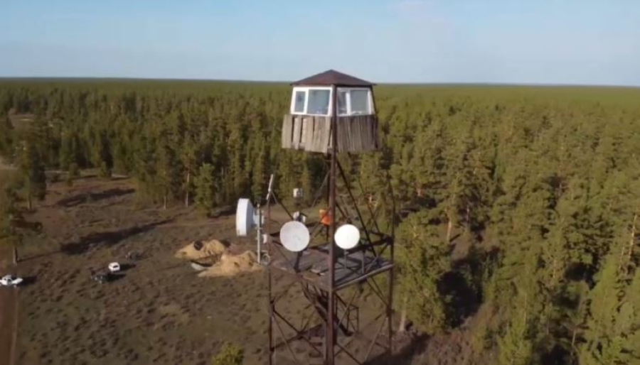 Ақмола облысындағы 100 га орман қайтарылды