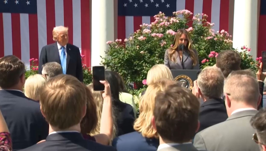 Трамп ересектерге арналған бейнематериалды таратуды шектейтін заңға қол қойды